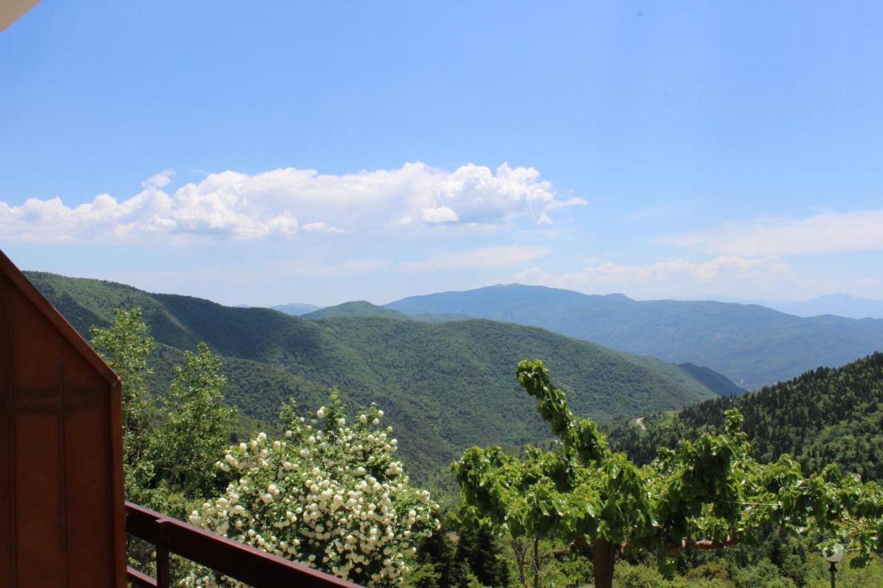 Elatou Hotel Ano Khora Bagian luar foto