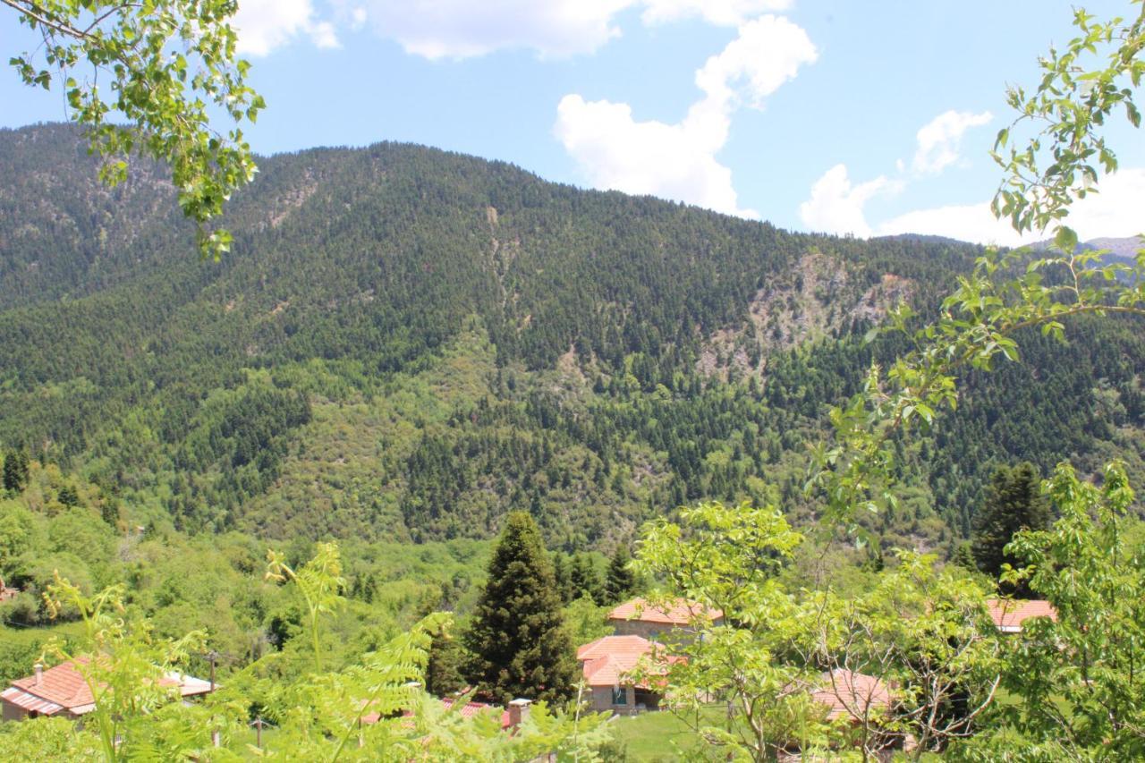 Elatou Hotel Ano Khora Bagian luar foto