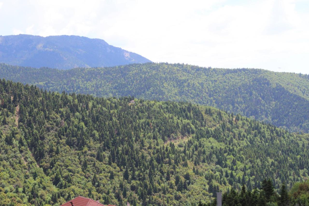 Elatou Hotel Ano Khora Bagian luar foto