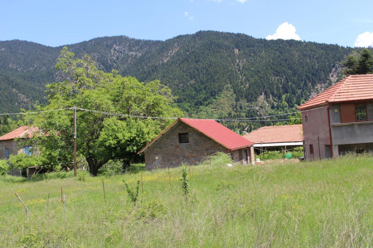 Elatou Hotel Ano Khora Bagian luar foto