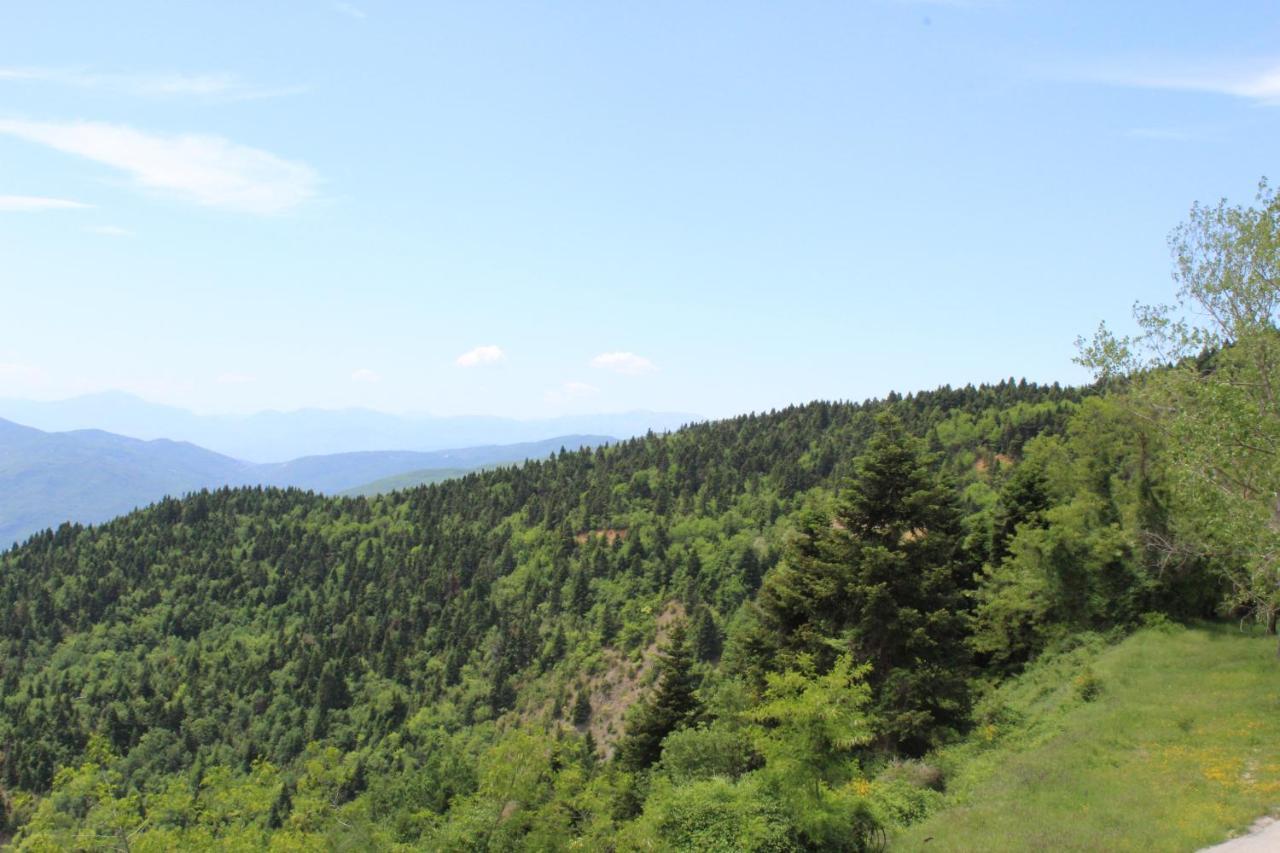 Elatou Hotel Ano Khora Bagian luar foto