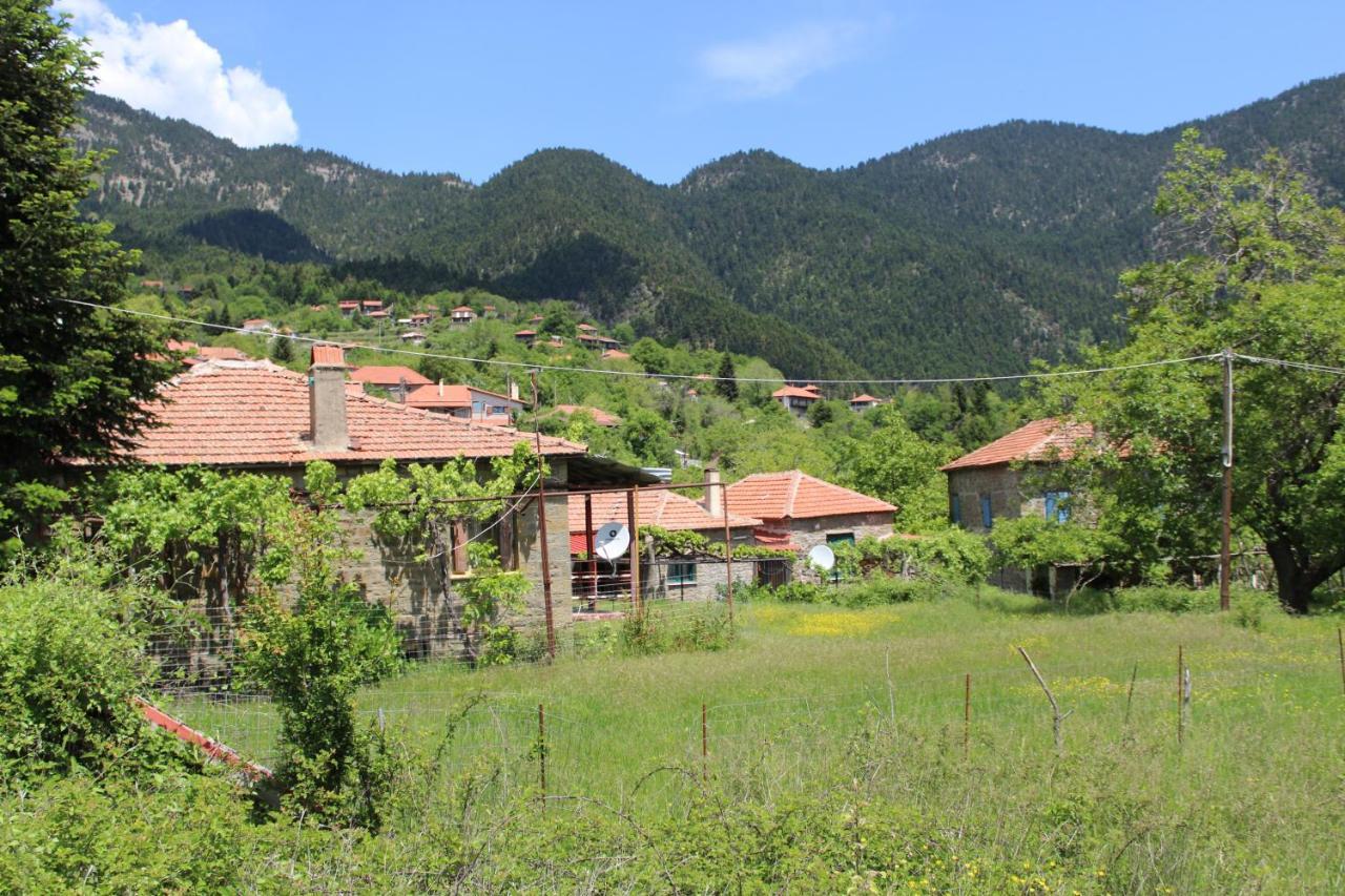 Elatou Hotel Ano Khora Bagian luar foto