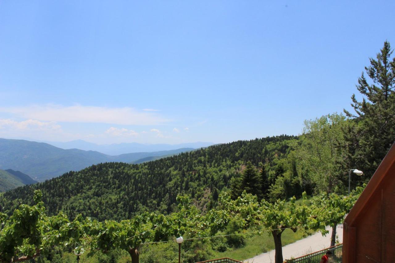 Elatou Hotel Ano Khora Bagian luar foto