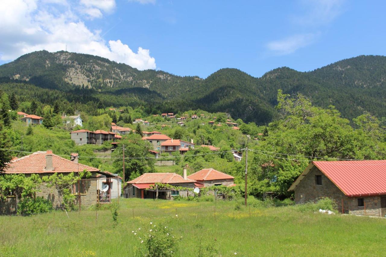 Elatou Hotel Ano Khora Bagian luar foto